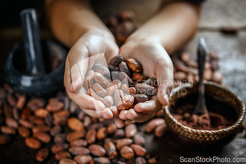 Image of Aromatic cocoa beans