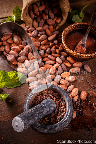 Image of Roasted cocoa beans