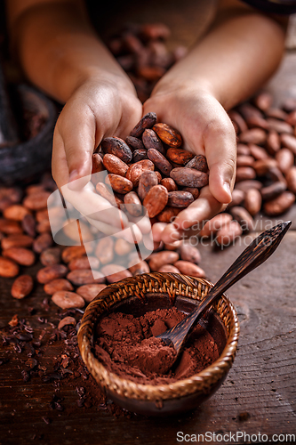 Image of Roasted cocoa beans