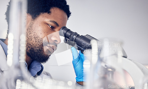 Image of Black man, scientist and microscope with science research in laboratory, data analysis and expert with scientific or medical innovation. Phd doctor, face and biotechnology, chemistry and study in lab