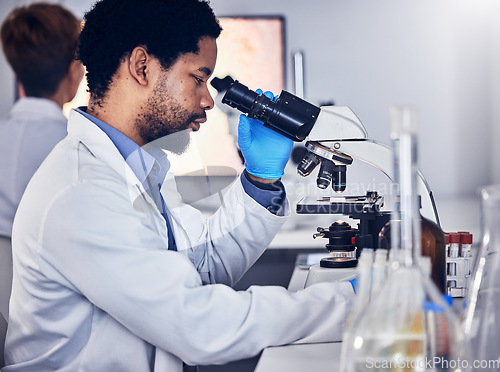 Image of Black man, scientist and microscope with science research in laboratory, data analysis and expert with scientific or medical innovation. Phd doctor, biotechnology with chemistry and study in lab.