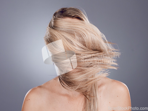 Image of Hair care, back view and blonde woman with long healthy hair from a keratin, brazilian or botox treatment. Beauty, cosmetic and girl model with a shiny and glossy hair style by gray studio background