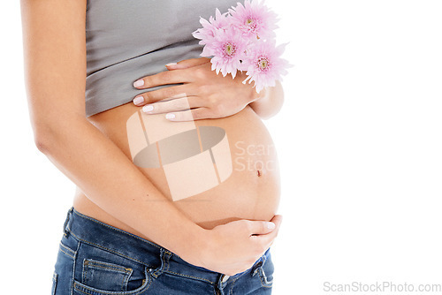 Image of Pregnant, flower and woman in studio for wellness, health and organic skincare on white background. Daisy, pregnancy and pregnant woman hand on belly for care, beauty and product in nature on mockup