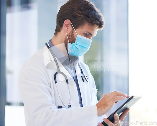 Image of Digital tablet, face mask and doctor doing research on covid, healthcare or pandemic in a hospital. Professional, technology and medical worker analyzing results on a mobile device in medicare clinic