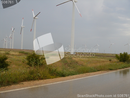 Image of Field of Windmills