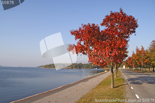 Image of Autumn view