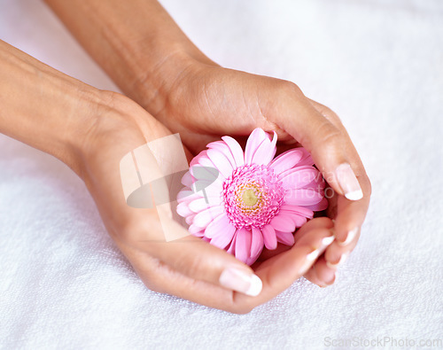 Image of Beauty, flower and spa with hands of woman for skincare, wellness and natural cosmetics. Spring, peace and floral with girl holding fresh daisy in salon for treatment, blossom and self care