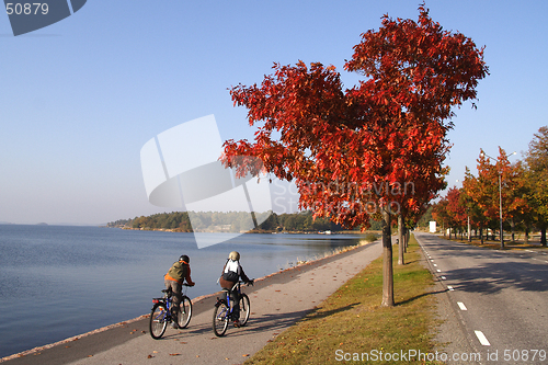 Image of Kids on bikes