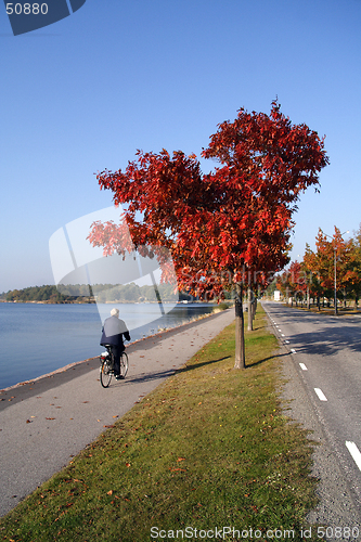 Image of Cycling woman