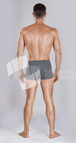 Image of Man, body muscles and back on studio background for fitness check, workout training goals or exercise wellness power. Model, bodybuilder and strong athlete on gray backdrop for healthcare gym target