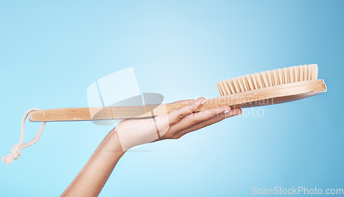 Image of Woman, shower or bath hand brush for cleaning, hygiene and beauty grooming marketing. Model holding spa scrub treatment tool on blue studio background with mockup for cosmetic product.