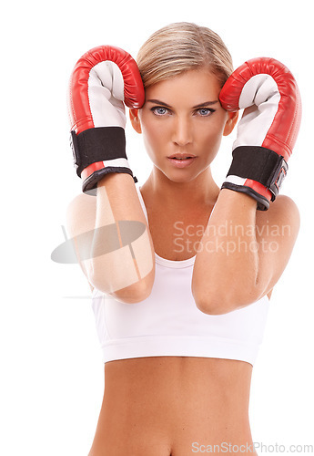 Image of Portrait, boxer or sports woman in fitness training, workout or exercise in studio with motivation, pride or focus. Face, mindset or healthy girl athlete in fighting or boxing gloves for self defense