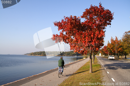 Image of Man on bike