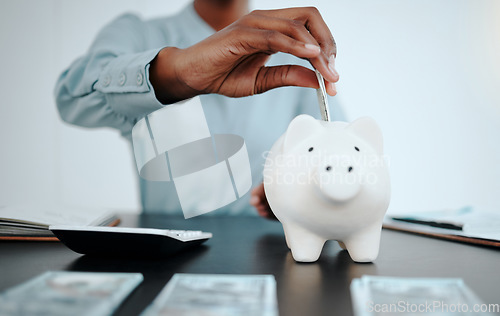 Image of Savings money, piggybank and hands of woman, administration accountant or bank teller with cash dollar investment. Economy, financial budget accounting and African finance consultant with calculator