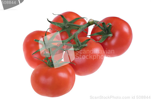Image of fresh juicy tomatoes