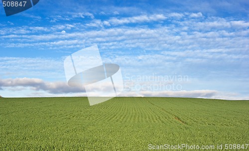 Image of green field and blue sky