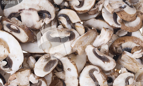 Image of mushrooms