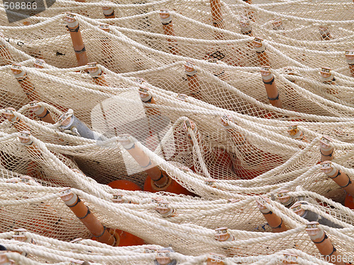 Image of net and buoys