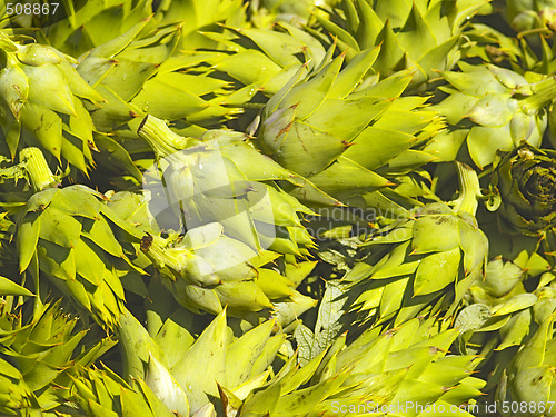 Image of artichokes