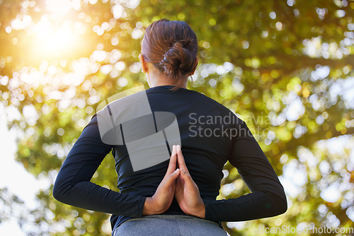 Image of Yoga, prayer hands and back of woman at park for health, wellness and flexibility. Zen chakra, pilates and female meditating, stretching and training outdoors alone in nature for workout or exercise.