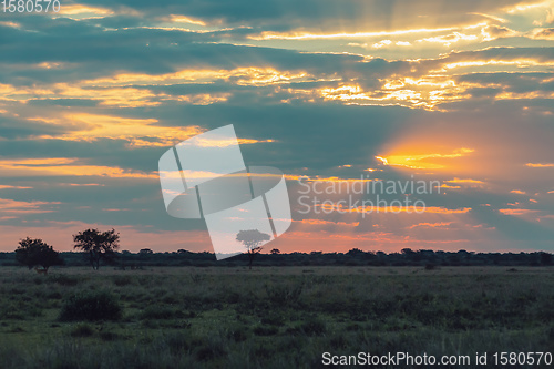 Image of African sunset over plain with acacia tree
