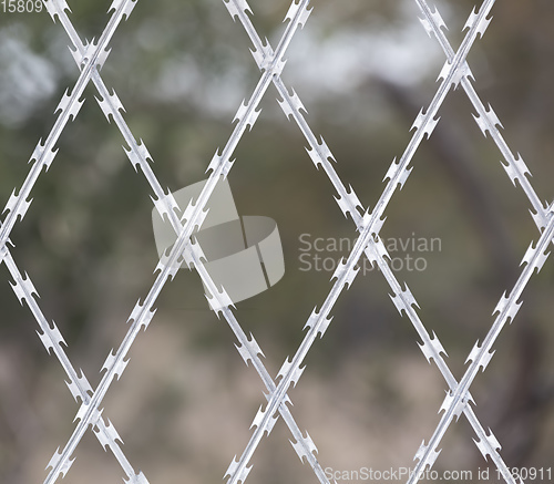 Image of Restricted Area Barbed Fence, security concept