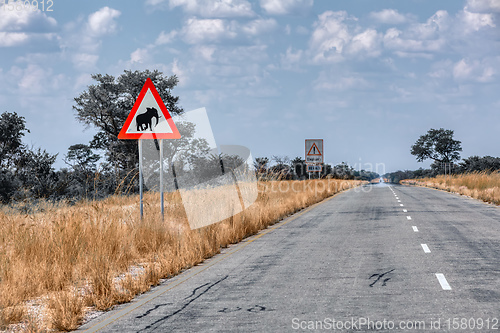 Image of Elephant crossing with sign on the road in Namibia