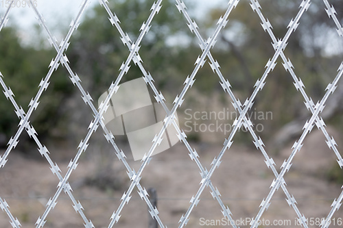 Image of Restricted Area Barbed Fence, security concept