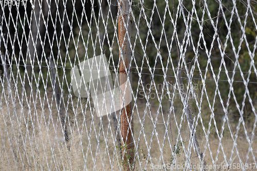 Image of Restricted Area Barbed Fence, security concept