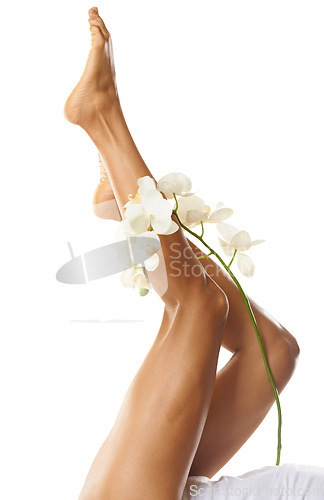 Image of Legs, foot and flower with woman in beauty mockup, natural cosmetics, skin with skincare isolated on white background. Pedicure, epilation and waxing for body hair removal, glow and dermatology