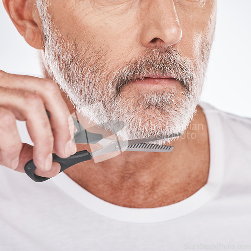 Image of Trim, beard and senior man with scissors for grooming, facial cleaning and morning routine on a studio background. Barber, care and face of a senior model trimming hair for a clean beauty look