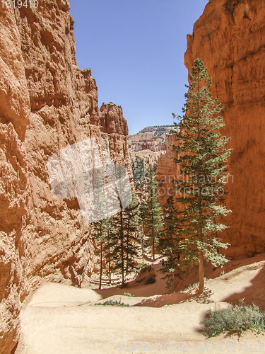 Image of Bryce Canyon National Park