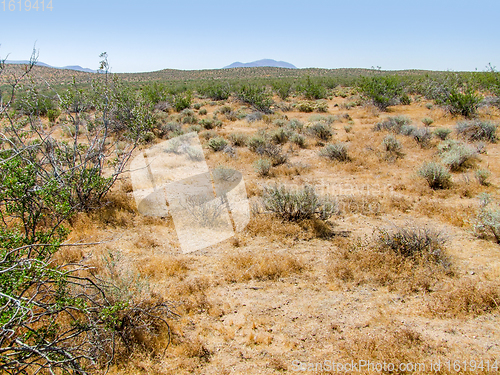 Image of Death Valley National Park