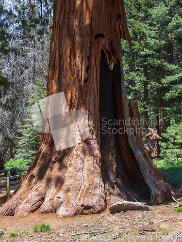 Image of Sequoia National Park