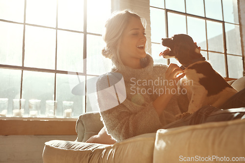 Image of Woman, dog and on couch in living room, happiness and sunshine with girl, happiness and bonding at home. Female, lady and pet on sofa in lounge, relax and weekend on break, happy or sunlight in house
