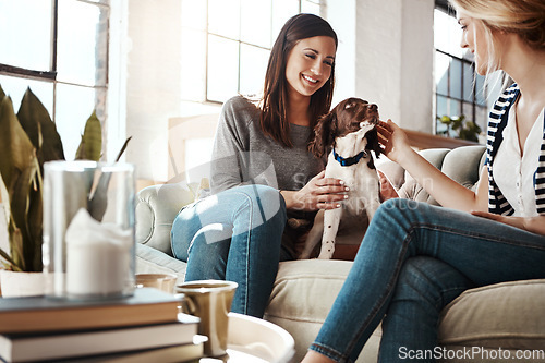 Image of Women, friends and relax with dog on sofa in living room for calm, peace and quality time with pet. Puppy, lifestyle happiness and animal care in home with female owners for love or support on couch