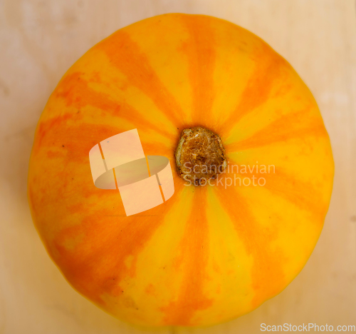 Image of fresh yellow pumpkin