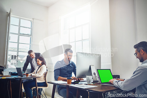 Image of Green screen, laptop and businessman typing at a web design startup company office with a working team. Teamwork, management or group of employees at a coworking agency as a workforce