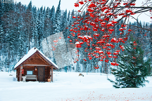 Image of Winter holiday house in forest.
