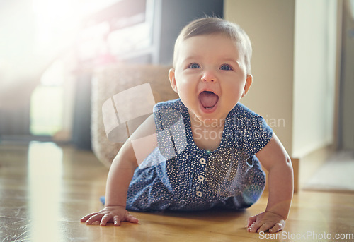 Image of Baby on floor, happy in portrait with development and growth, early childhood and happiness at family home. Girl kid, young and learning with crawling and child care in living room with health