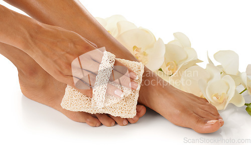 Image of Feet, beauty spa and pedicure with a foot scrub for a woman in studio with flowers for luxury skincare. Toes and hands of wellness model for self care, cleaning and dermatology cosmetics in studio