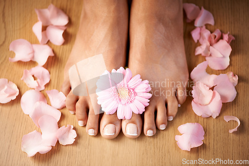 Image of Feet, flower and spa pedicure with nails beauty of woman in studio for floral luxury skincare. Toes of wellness and beauty model for self care, cleaning and floral dermatology cosmetics in studio