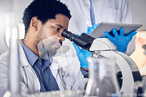 Image of Black man, scientist and microscope with science research in laboratory, data analysis and expert with scientific or medical innovation. Phd doctor, face and biotechnology, chemistry and study in lab