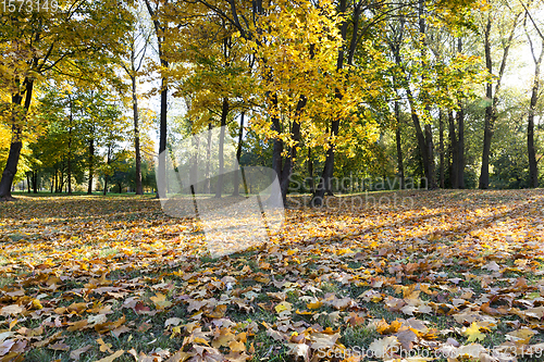 Image of autumn season