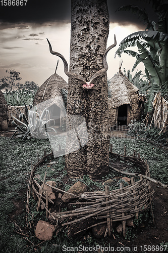 Image of elephant-shaped huts in Dorze Village, Ethiopia