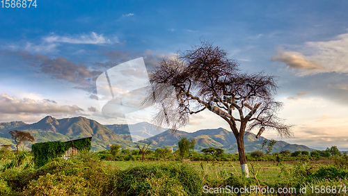 Image of ethiopian landscape near Arba Minch, Ethiopia