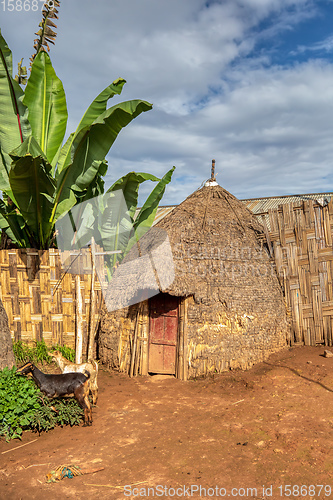 Image of elephant-shaped huts in Dorze Village, Ethiopia