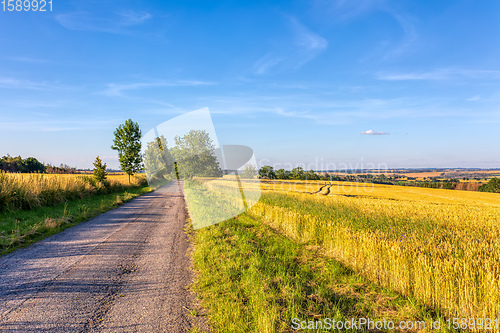 Image of Summer landscape Vysocina Czech Republic