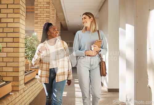 Image of School, education and university students, women or people walking to class in campus community and laughing. Diversity friends, black woman and talking of meme or happy college and social lifestyle