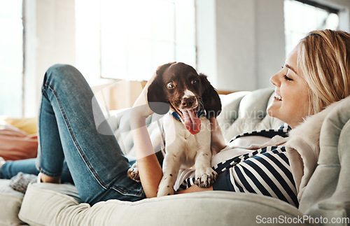 Image of Woman, sofa and holding dog in house, living room and love with care, relax and happy pet friendship. Girl, couch and puppy with smile, happiness and bonding while together for quality time in lounge
